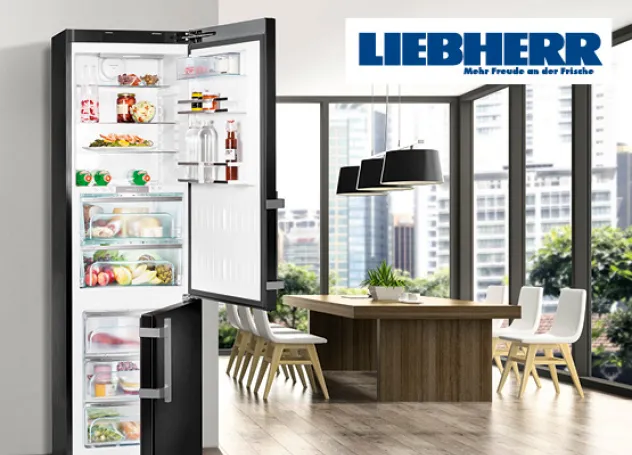Liebherr Kühlschrank in Küche