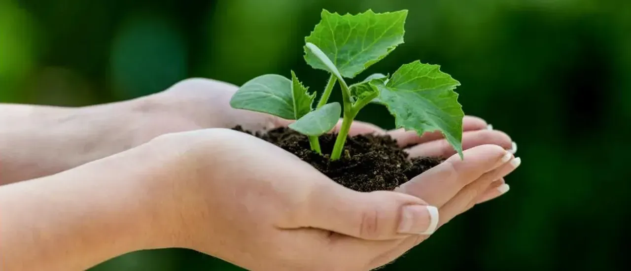 Europa Möbel Verbund