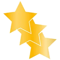 Leistungspaket Gold Icon