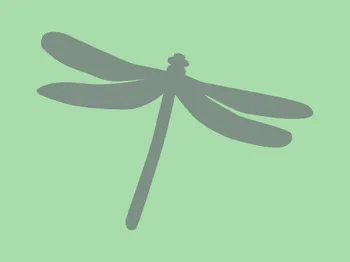 Zeichnung Libelle auf grünem Grund