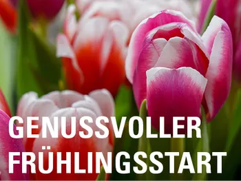 MHS_230320_Genussvoller_Fruehlingsstart_Banner_mobil3.jpg