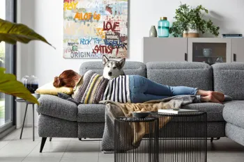 Graues Ecksofa, auf dem eine Frau mit einem Hund liegt.