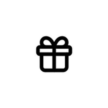 Geschenk Icon