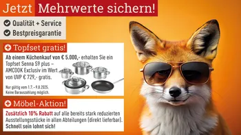 Fuchs mit Sonnenbrille neben Uebersicht von Mehrwerten