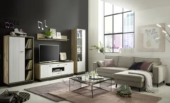 Modernes Wohnzimmer mit Wohnwand und Polstersofa