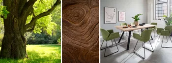 Eichenholz ist robust und beliebt für Möbel aus Echtholz.