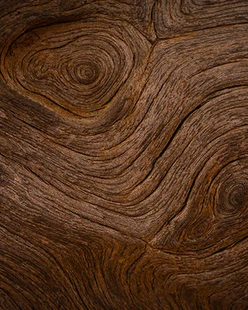 : Eiche gilt als robustes Holz für die Tischplatte.