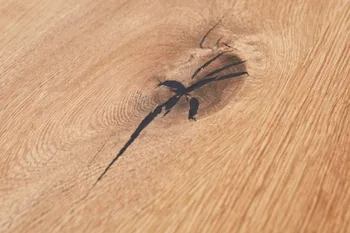 Detail Maserung eines Holz Esstisches.