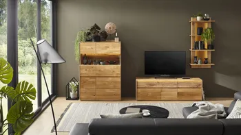 Highboard, TV-Board und Wandregal aus Massivholz mit Pflanzen dekoriert.