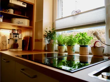 Detailaufnahme einer klassischen Küche