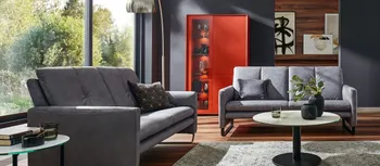 Zwei graue Sofas mit passendem Couchtisch vor orangefarbenem Highboard in gemuetlichem Wohnzimmer.