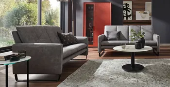 Zwei graue Sofas mit Leder bezogen und schwarzen Kufen, in einem modernen Raum mit großer Fensterfront.