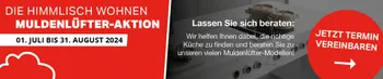 Muldenluefteraktion