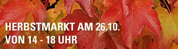 herbstmarkt-sachsen-bei-moebel-starke-schoenbach-bei-loebau.jpg