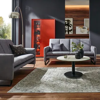 Zwei graue Sofas mit passendem Couchtisch vor orangefarbenem Highboard in gemuetlichem Wohnzimmer.